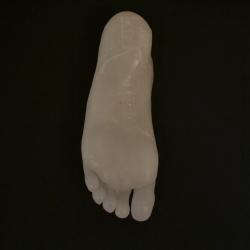 My Foot Now 2015